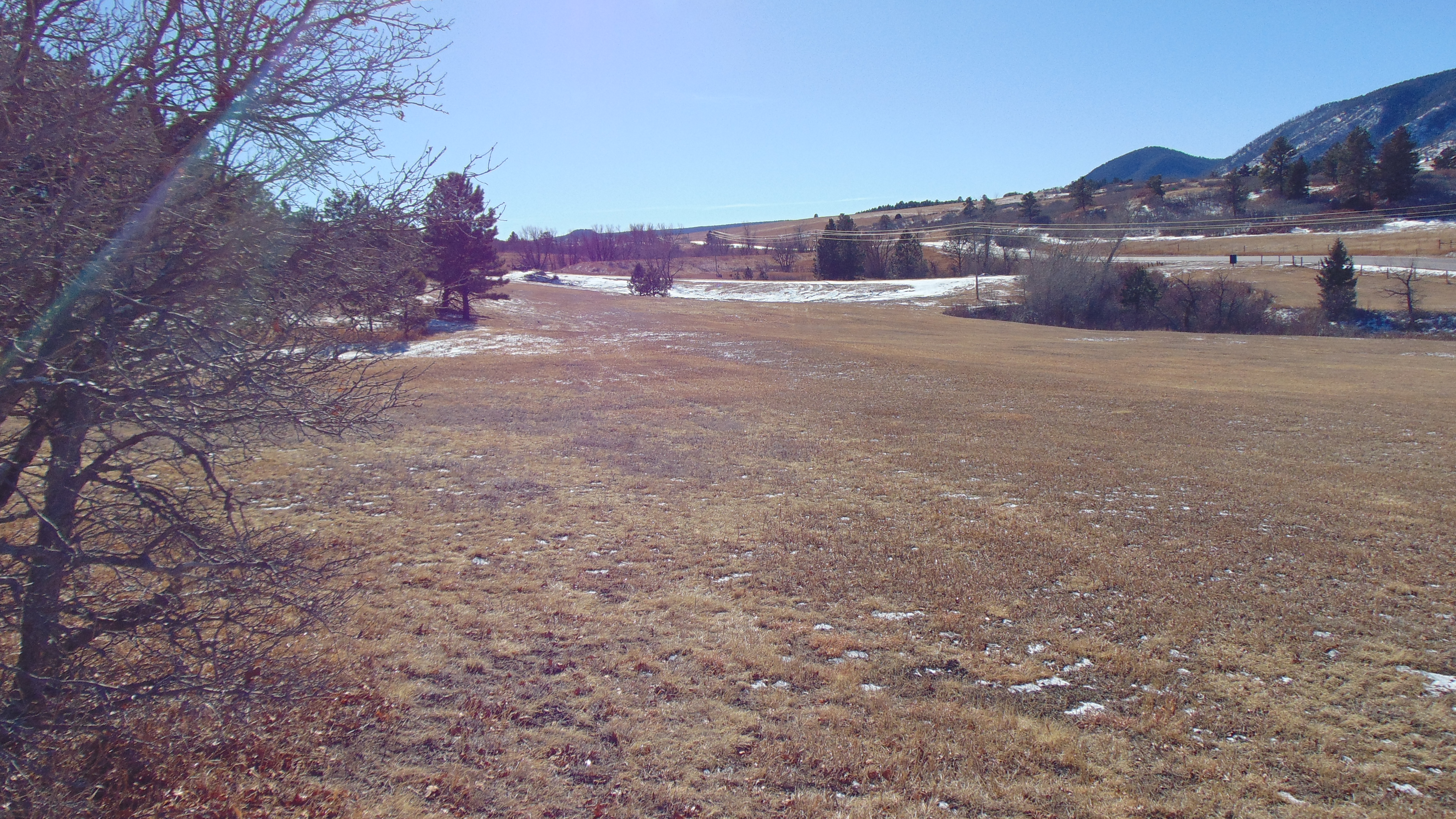 9676 South Perry Park Road Larkspur, CO 80118 - Photo 16 of 16