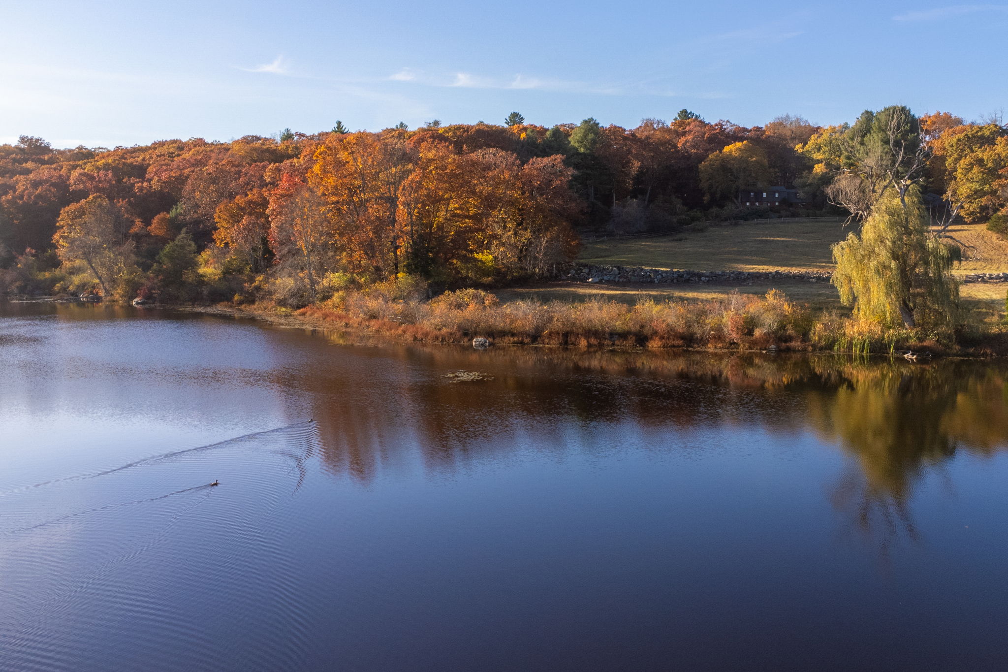 59 Conant Road Lincoln, MA 01773 - Photo 37 of 47 a view of a lake in middle of the town