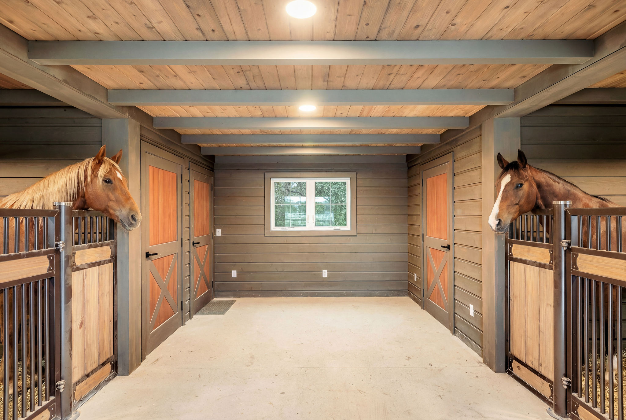 812 Jennings Branch Georgetown, TX 78633 - Photo 69 of 100