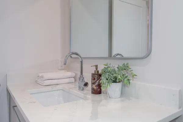 a bathroom with a sink a toilet and potted plant