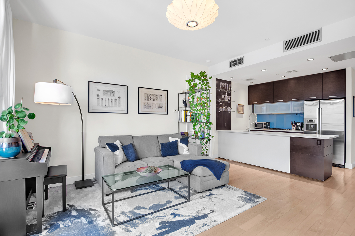 309 2nd Street, Unit 3E Brooklyn, NY 11215 - Photo 5 of 11 a living room with furniture and a potted plant
