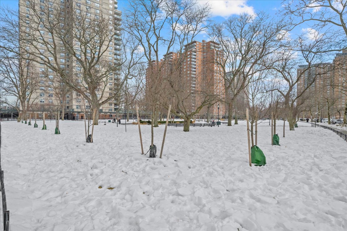448 Neptune Avenue, Unit 16K Brooklyn, NY 11224 - Photo 20 of 28 a view of outdoor space yard