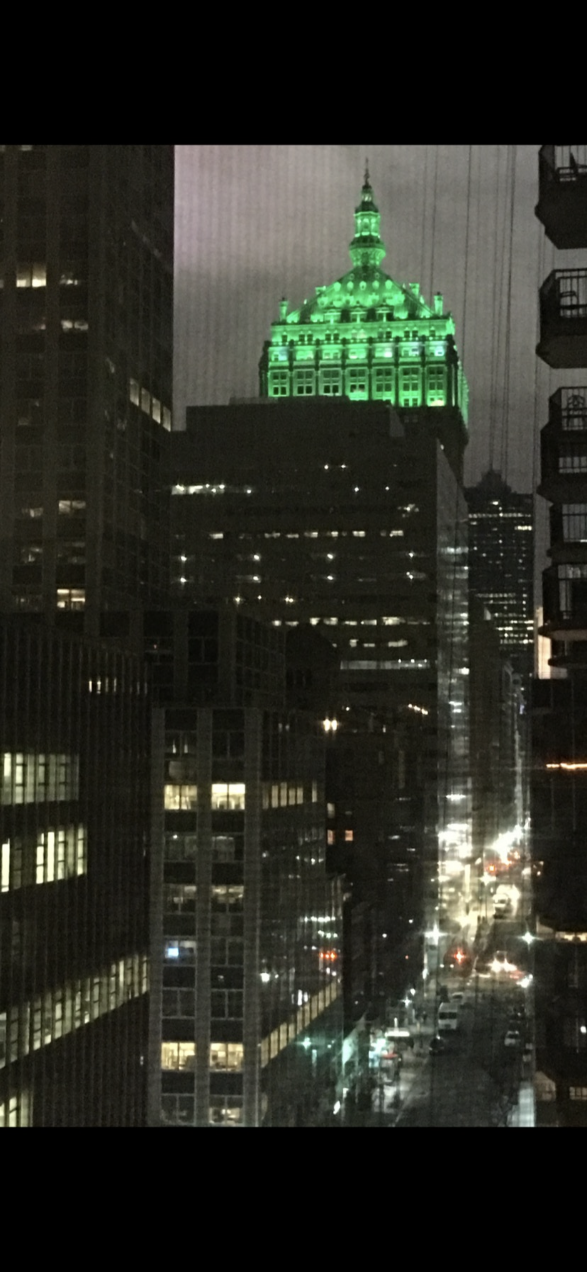 225 East 46th Street, Unit 12G Manhattan, NY 10017 - Photo 11 of 19 a picture of a tree