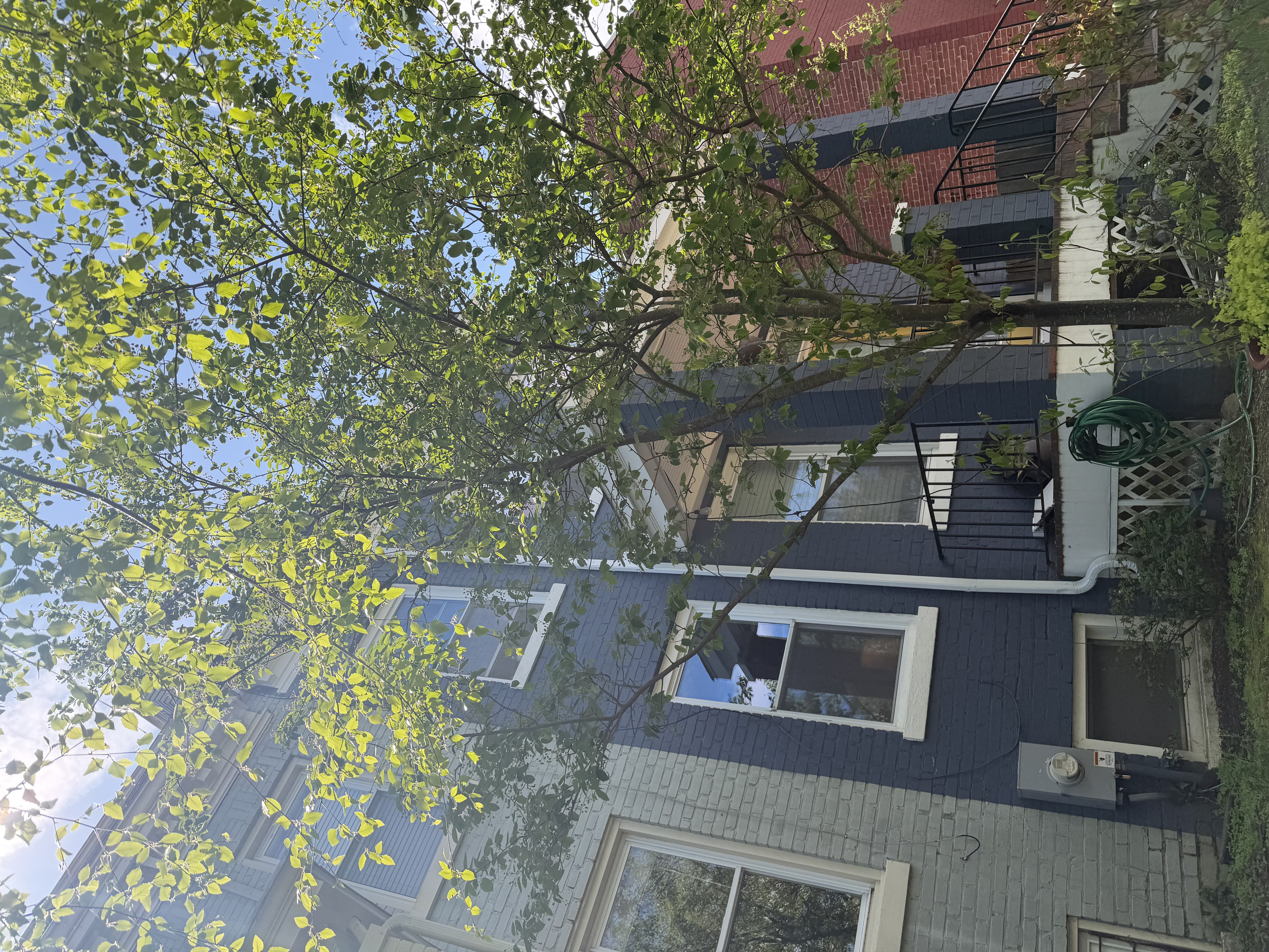 1425 C Street Northeast Washington, DC 20002 - Photo 3 of 4