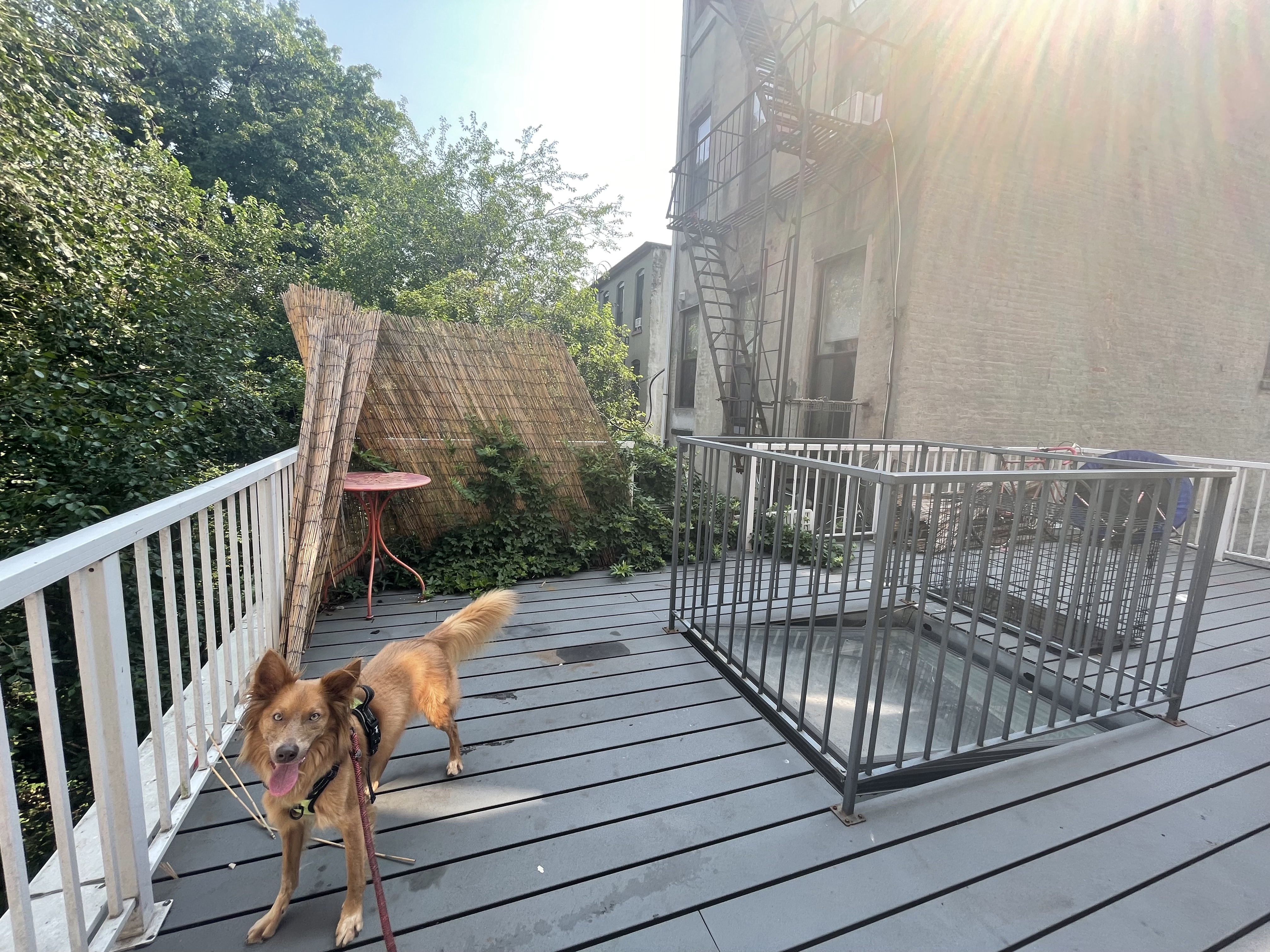 1501 Broadway, Unit 2 Brooklyn, NY 11221 - Photo 3 of 4 a view of a roof deck with wooden fence and floor