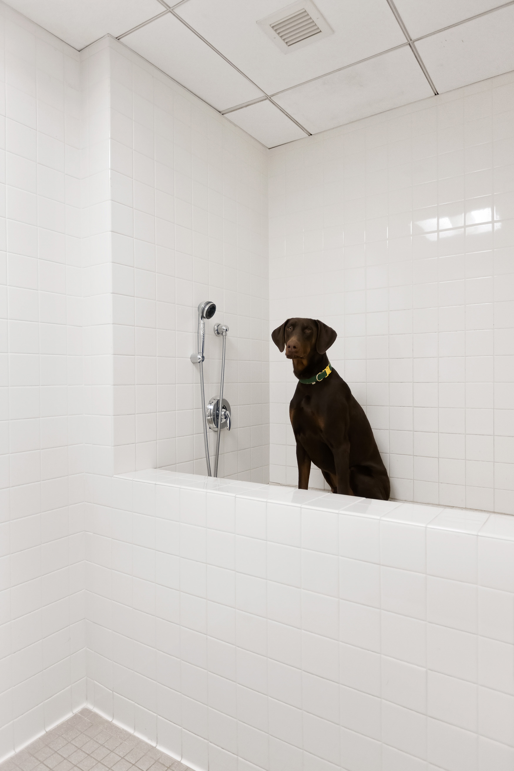 34 Leonard Street, Unit PH Manhattan, NY 10013 - Photo 25 of 30 a large white cabinet