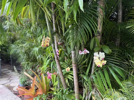 $2,390,000 | 515 Daroco Avenue, Coral Gables, FL 33146