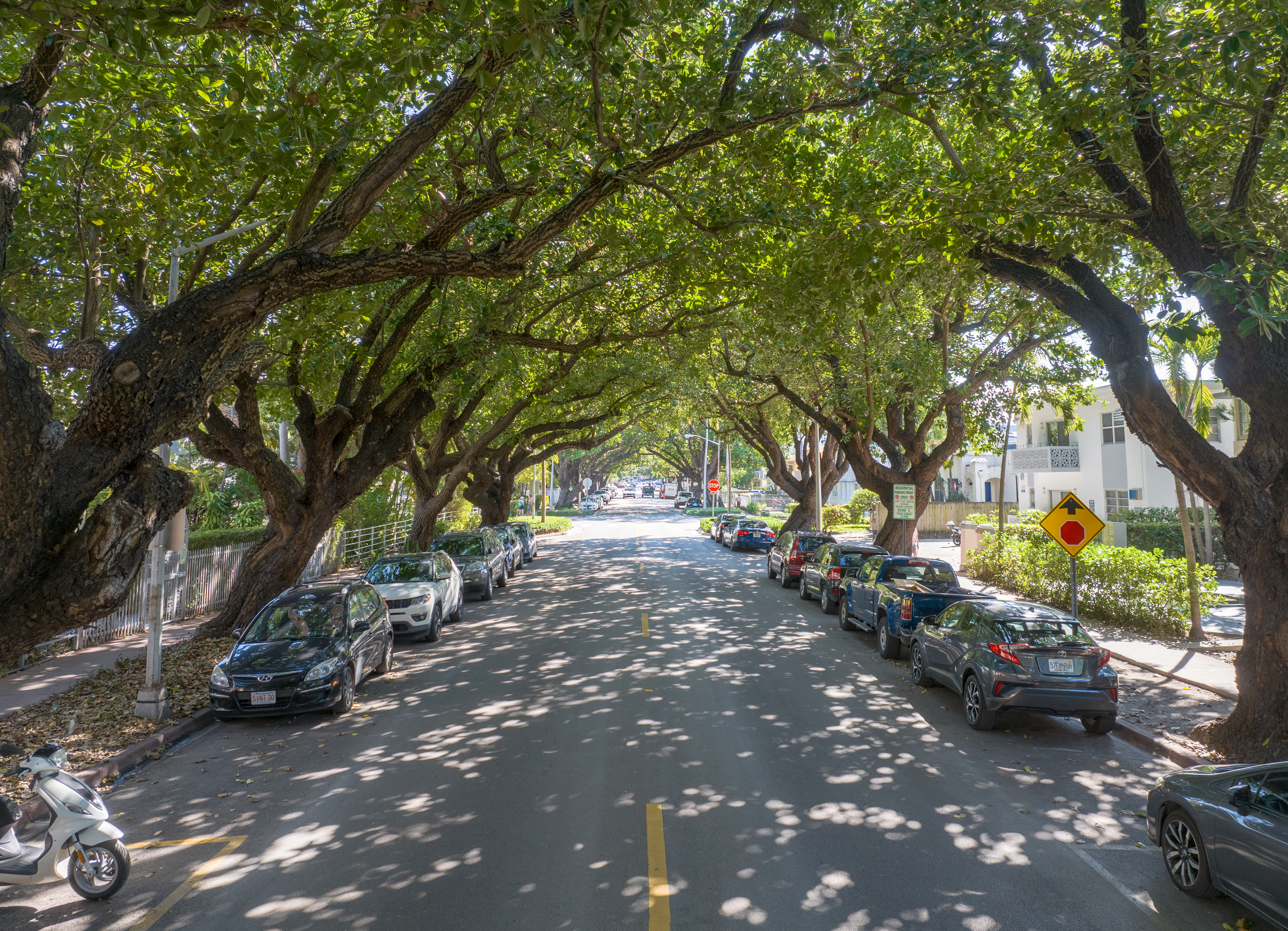 735-745 Meridian Avenue Miami Beach, FL 33139 - Photo 49 of 62 a backyard of a house with lots of green space