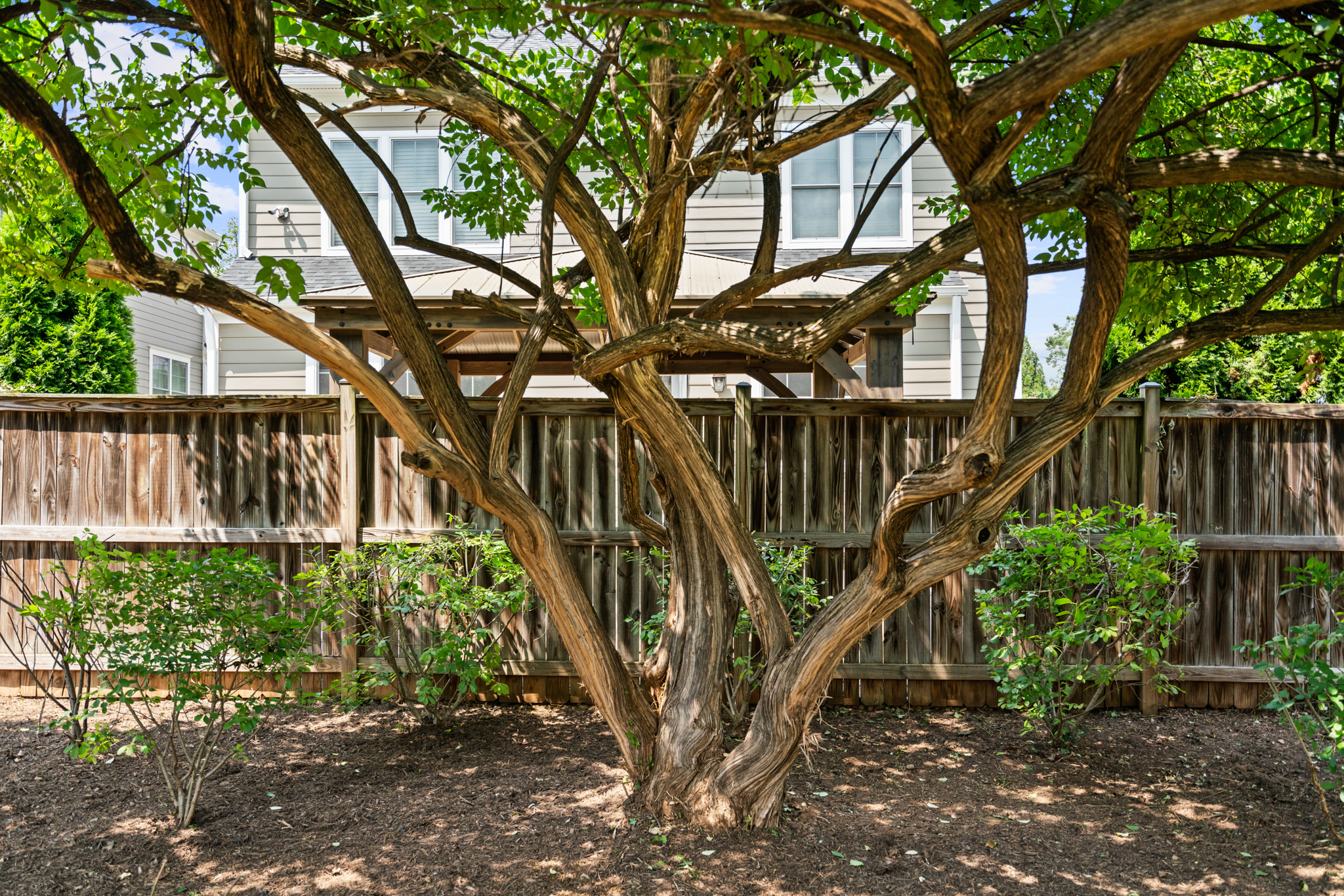 5811 Walton Road Bethesda, MD 20817 - Photo 51 of 54 Gallery Image 51