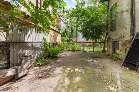 a view of backyard with plants and trees
