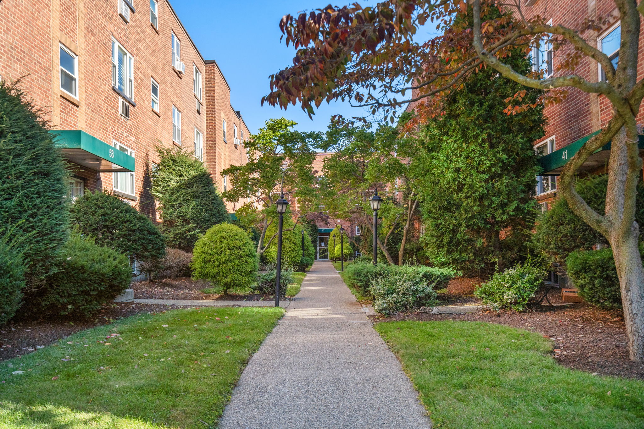 47 Colborne Road, Unit 1 Brighton, MA 02135 - Photo 3 of 23 Gallery Image 3