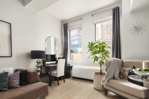 a living room with furniture and a potted plant