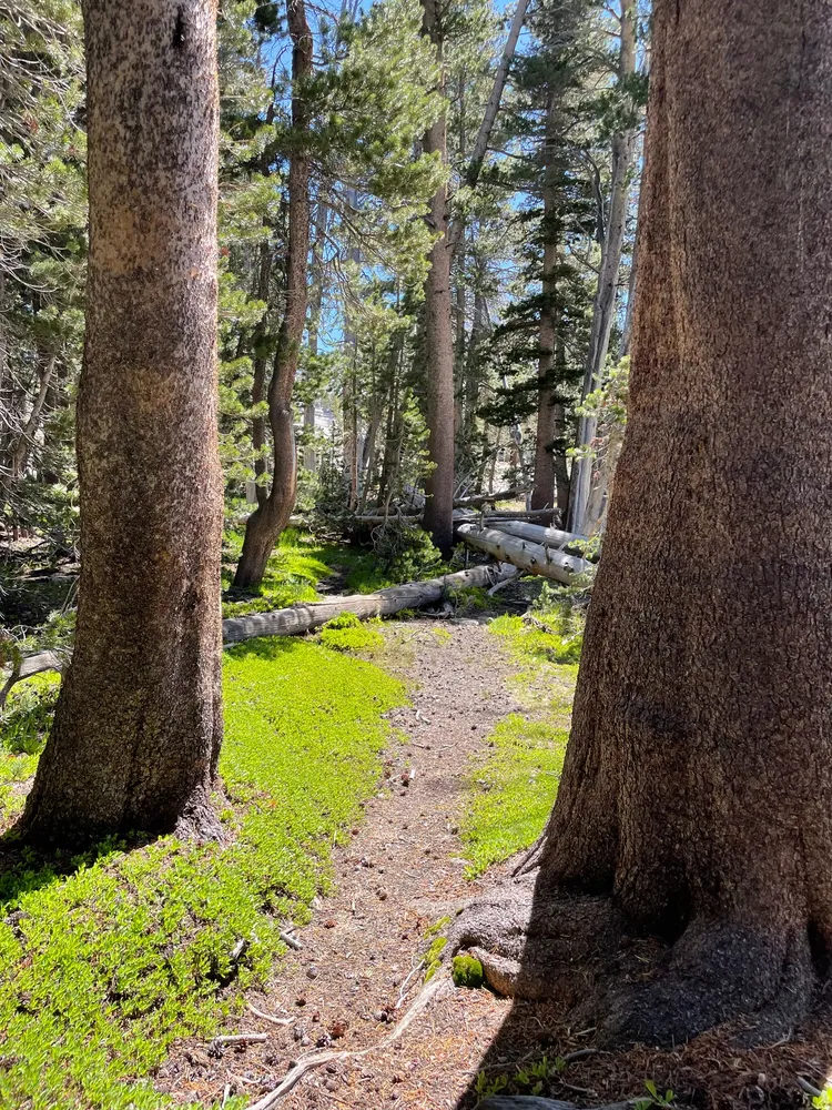 a view of swimming pool from a lake