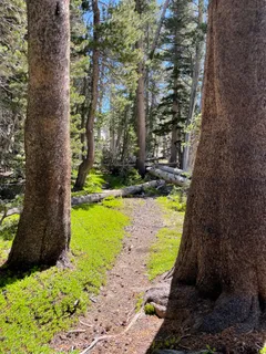 a view of swimming pool from a lake