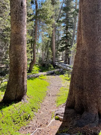 a view of swimming pool from a lake