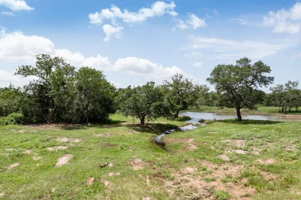 a view of a lake with a tree
