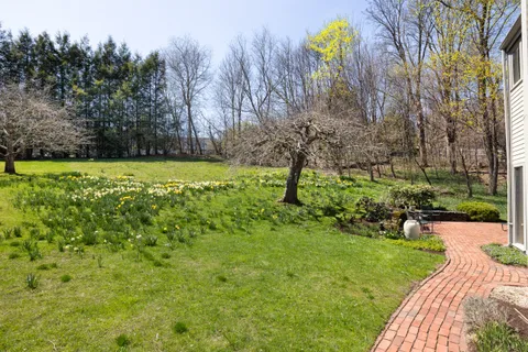 Contact Agent | 185 Warren Street, Brookline, MA 02445