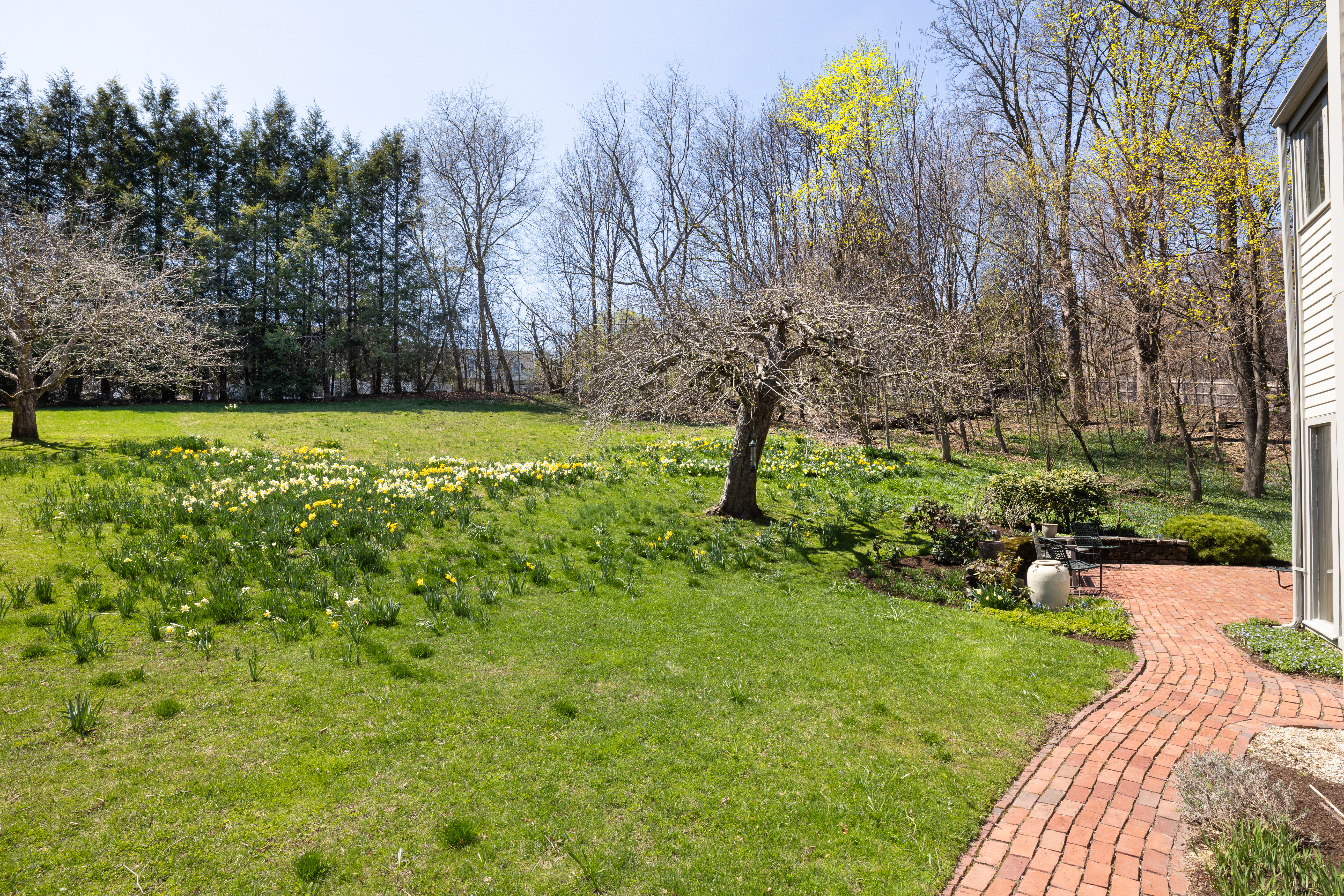 185 Warren Street Brookline, MA 02445 - Photo 11 of 18