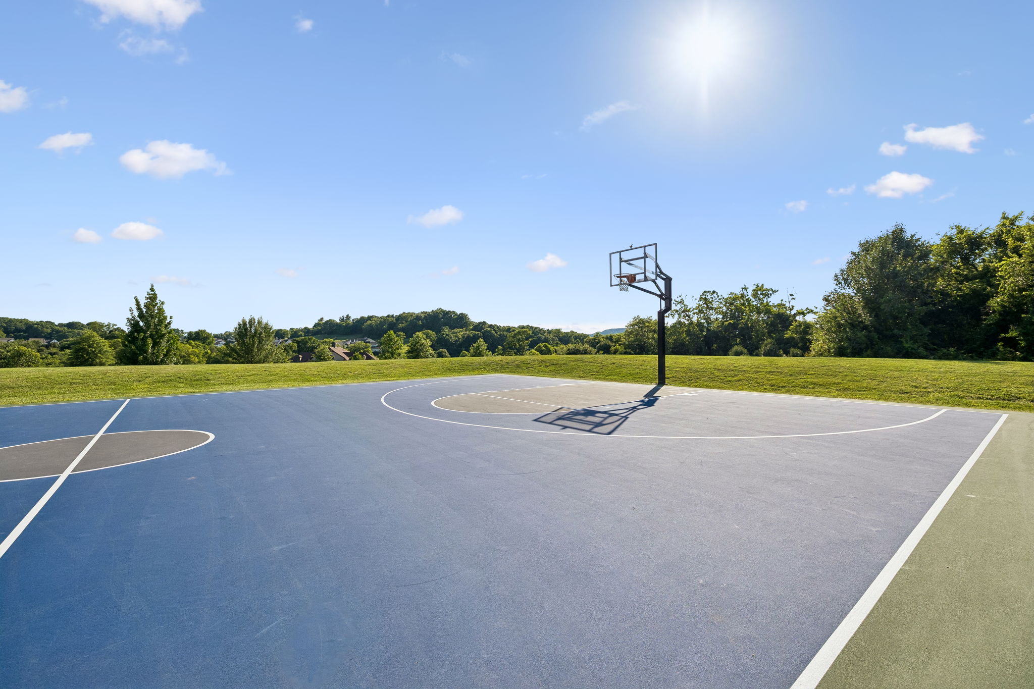 6732 Falls Ridge Lane College Grove, TN 37046 - Photo 80 of 87
