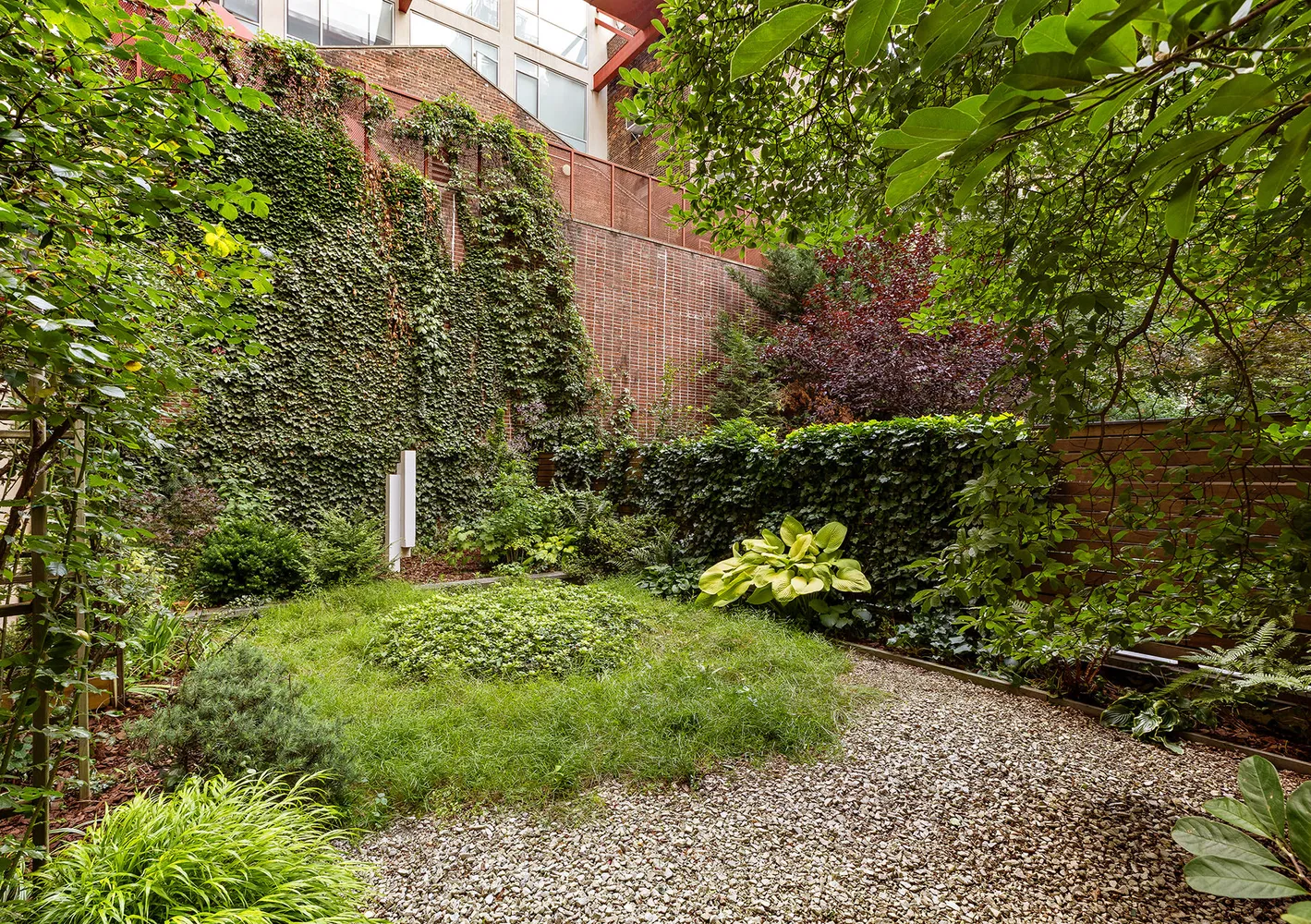 a view of a garden with plants and large trees