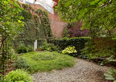a view of a garden with plants and large trees