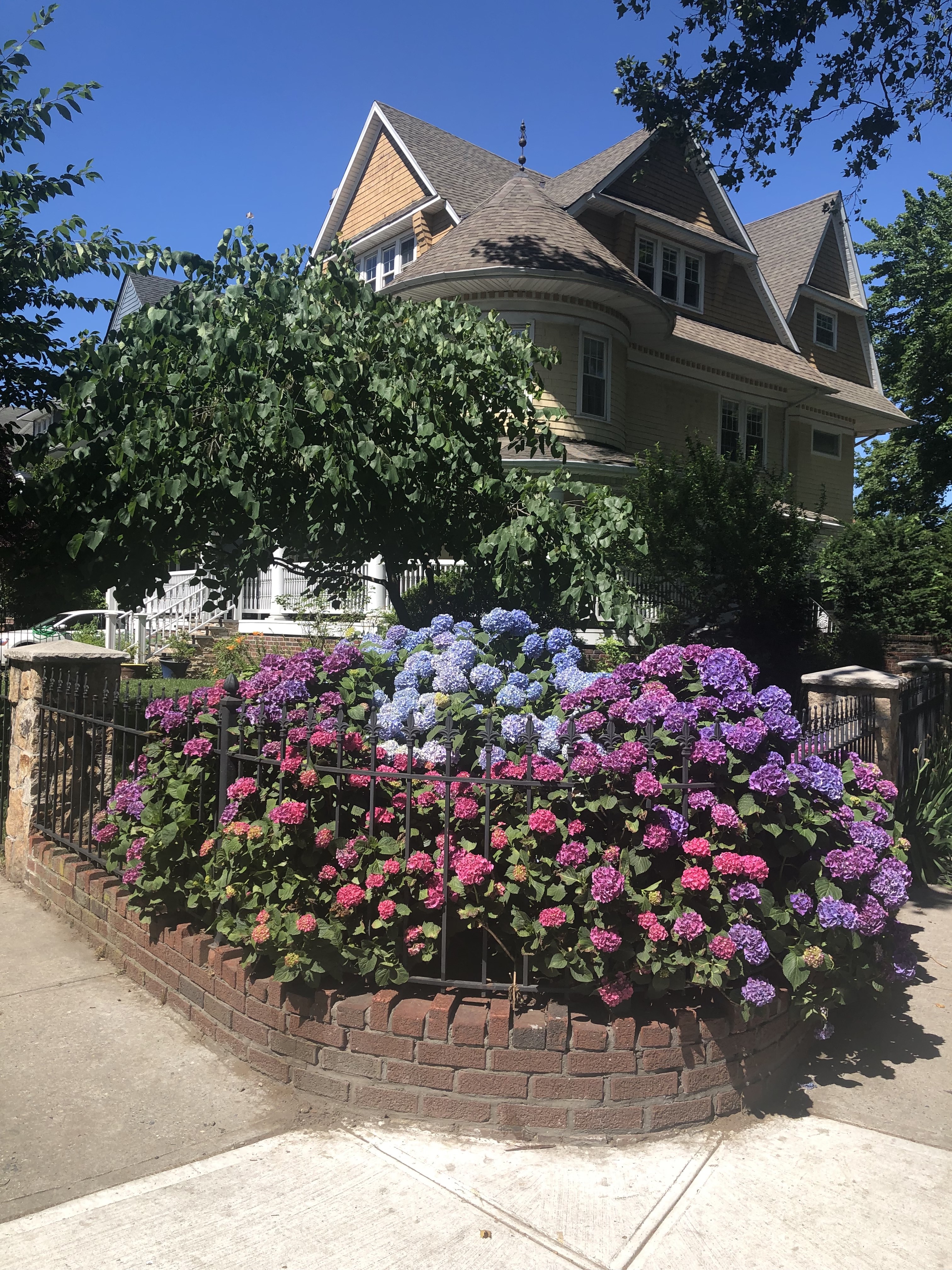 523 Rugby Road Brooklyn, NY 11226 - Photo 18 of 19