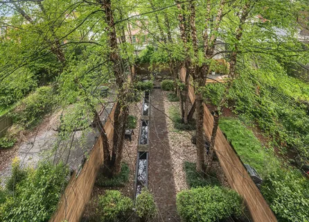 a view of a garden with plants and a bench