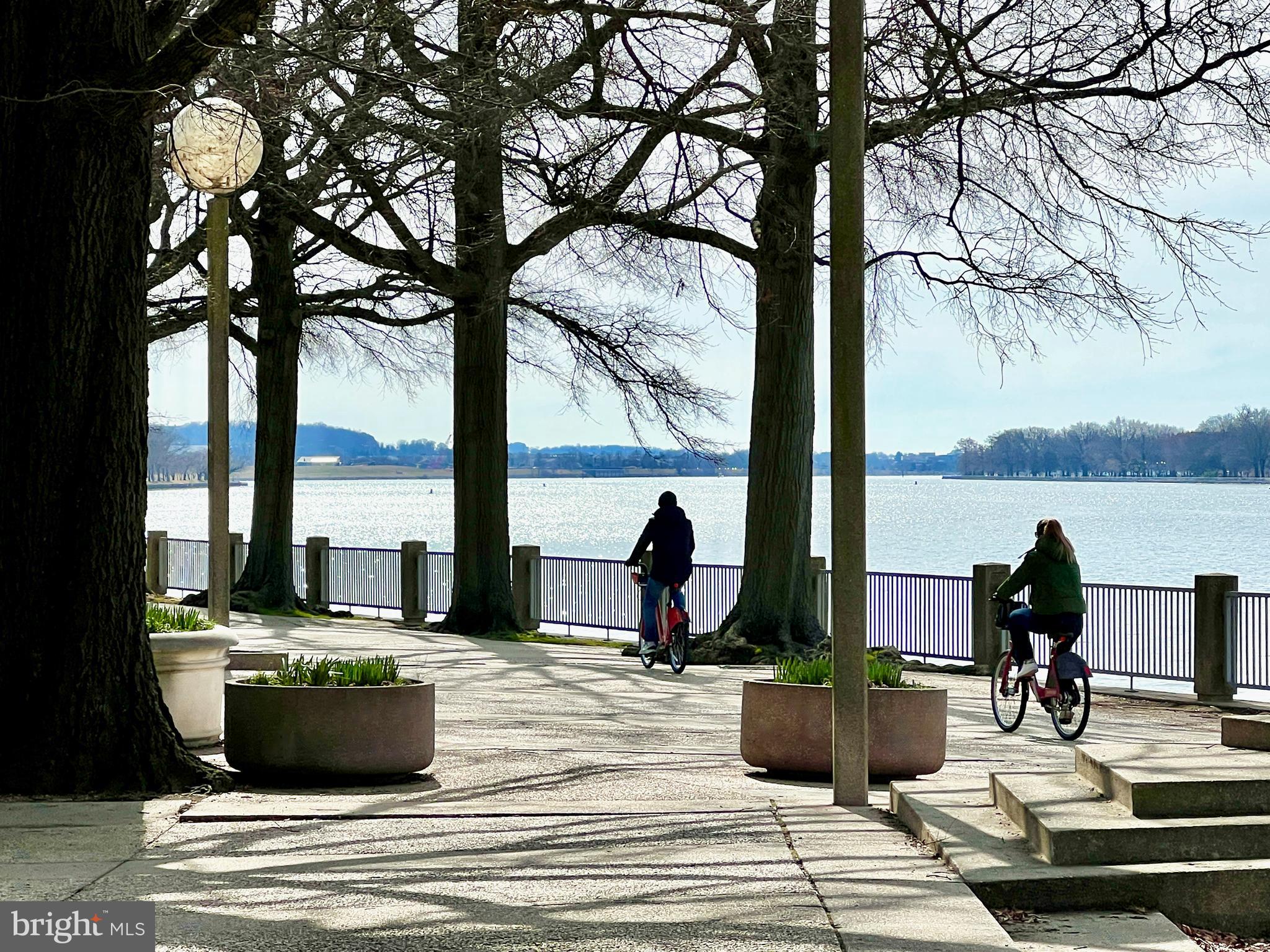 520 N Street Southwest, Unit S622 Washington, DC 20024 - Photo 22 of 25 a view of a ocean view with couches and potted plants