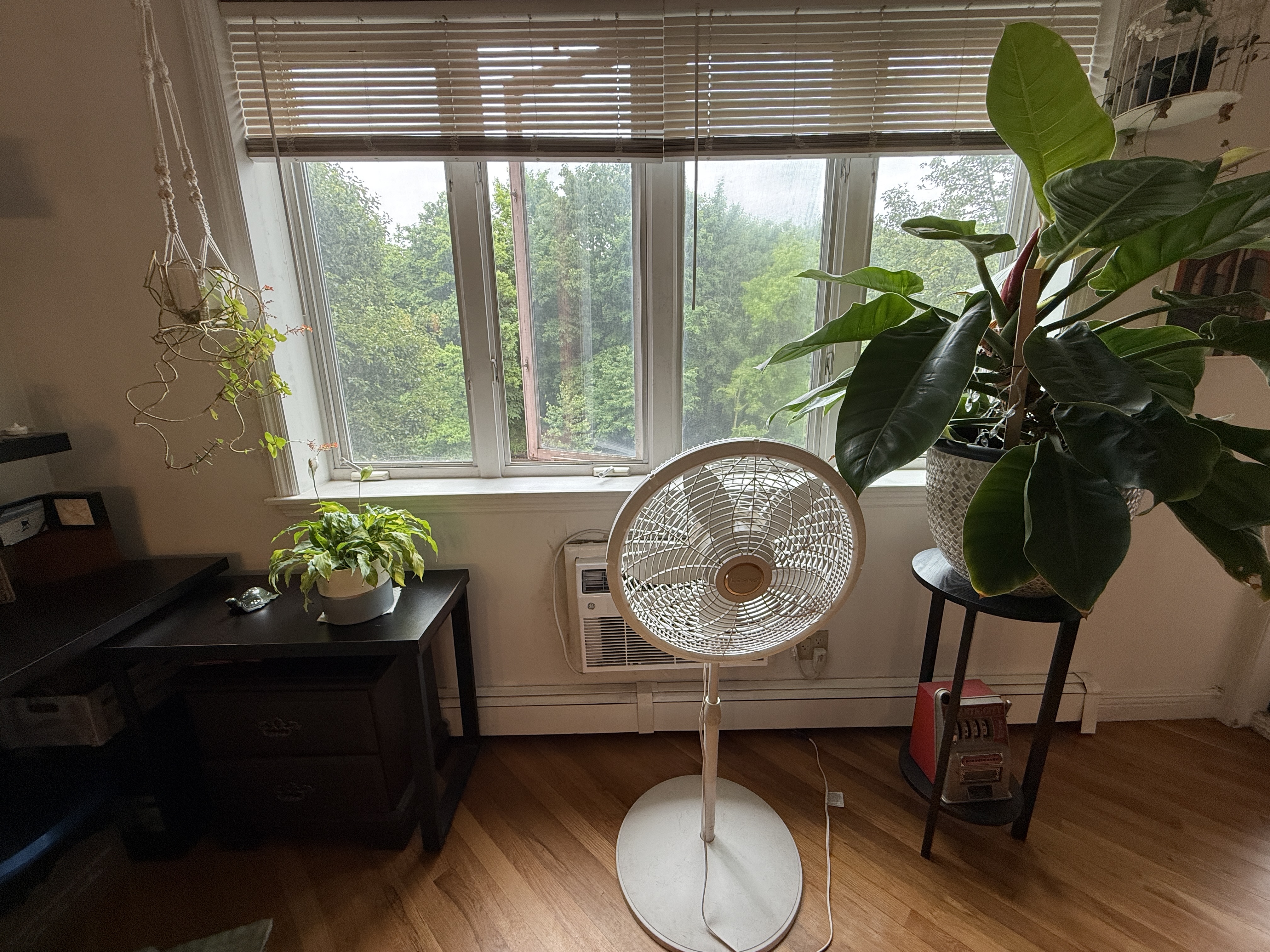 101 Prospect Park Southwest, Unit 3B Brooklyn, NY 11218 - Photo 6 of 23 a table with a vase and flowers on it