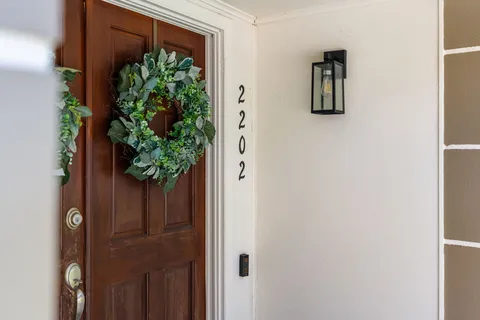 view of a potted plant with a wall