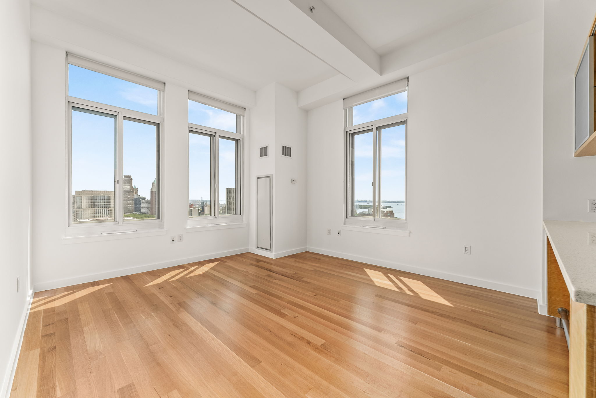 85 Adams Street, Unit 21A Brooklyn, NY 11201 - Photo 3 of 18 a view of an empty room with wooden floor and a window