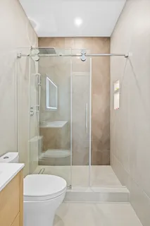 a bathroom with a shower and a toilet