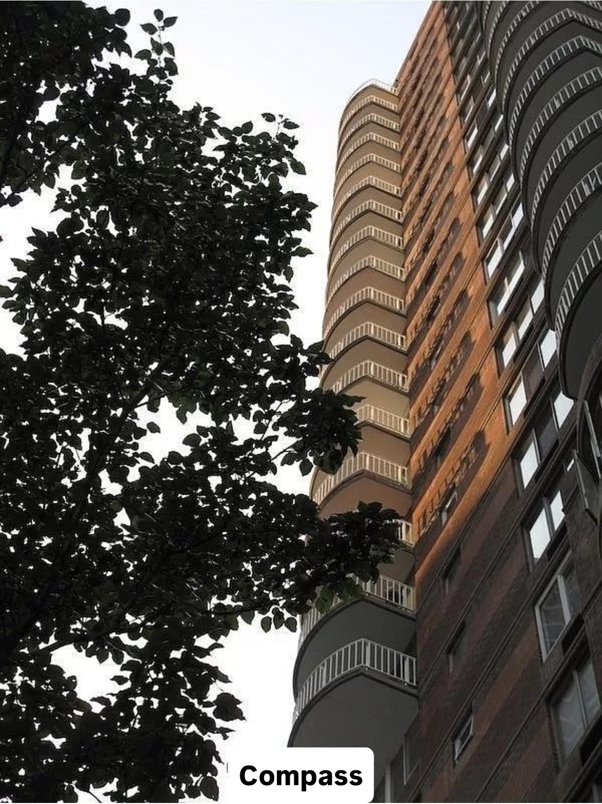 420 East 58th Street, Unit 17B Manhattan, NY 10022 - Photo 8 of 12 a close up of a tree in a building