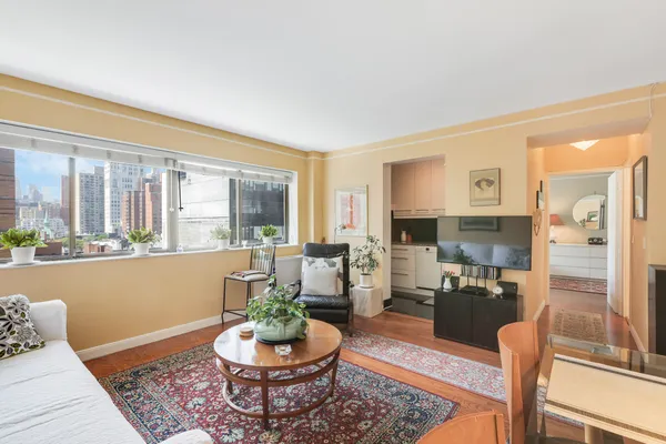a living room with furniture and a potted plant
