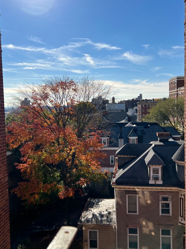 $132,500 | 2866 Marion Avenue, Unit 6F | Bedford Park