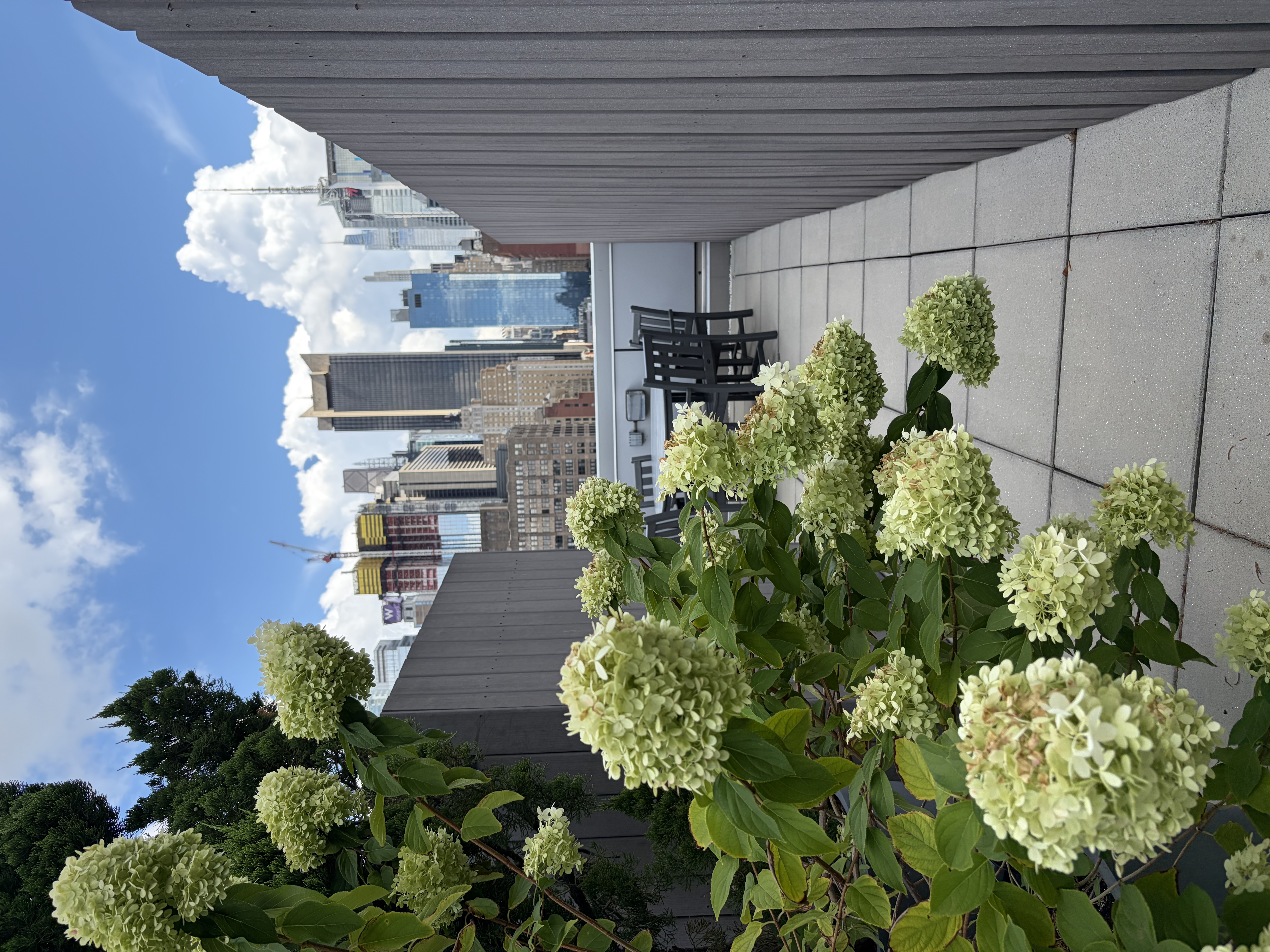 464 West 44th Street, Unit 4G Manhattan, NY 10036 - Photo 9 of 10 Gallery Image 9
