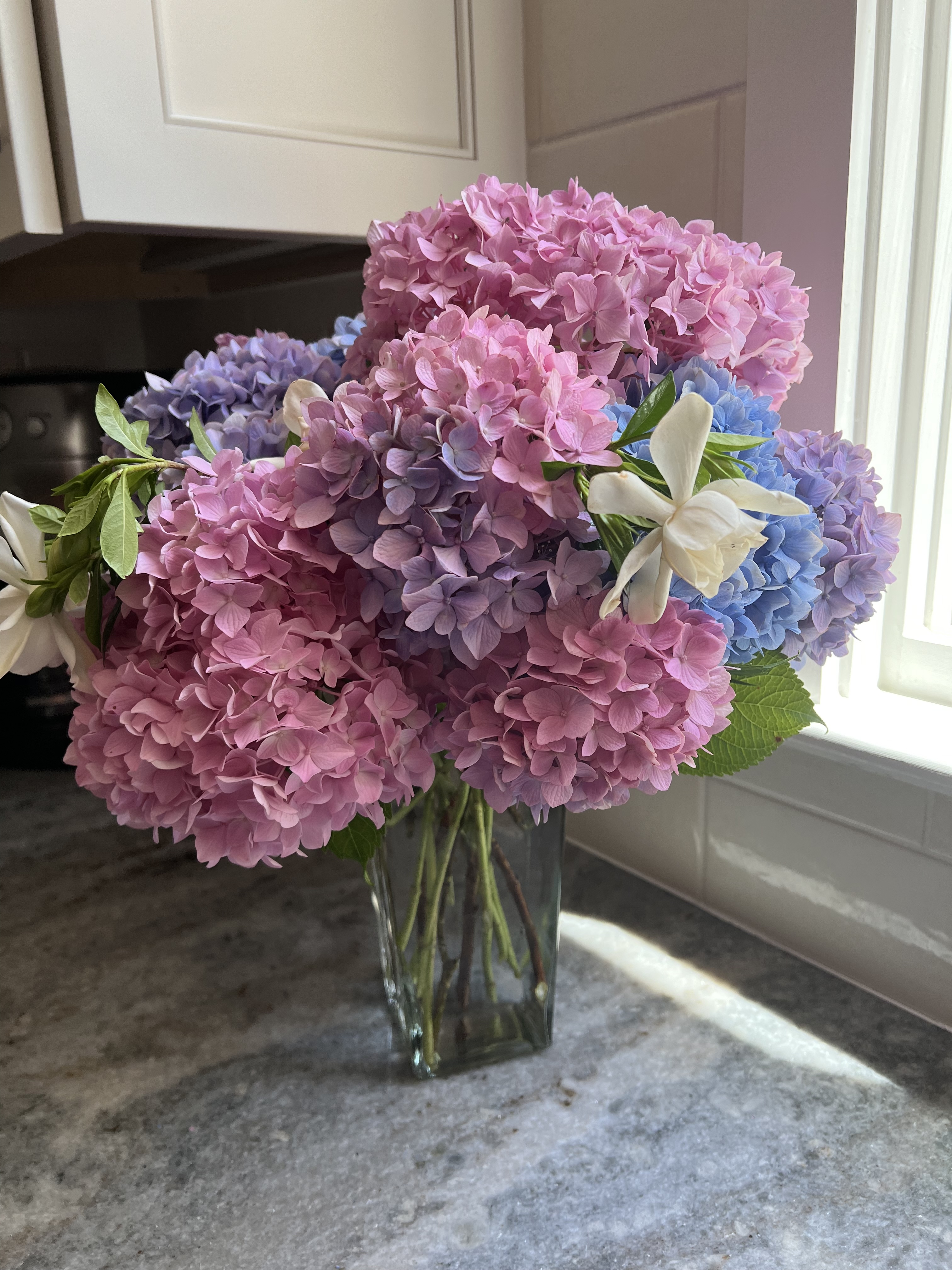 4117 Worley Drive Raleigh, NC 27613 - Photo 10 of 14