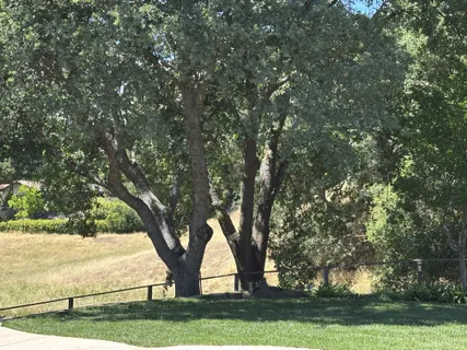 $2,875,000 | 1816 Piedras Circle, Alamo, CA 94507