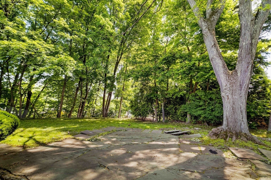 77 Jordan Road Brookline, MA 02446 - Photo 24 of 29 Gallery Image 24