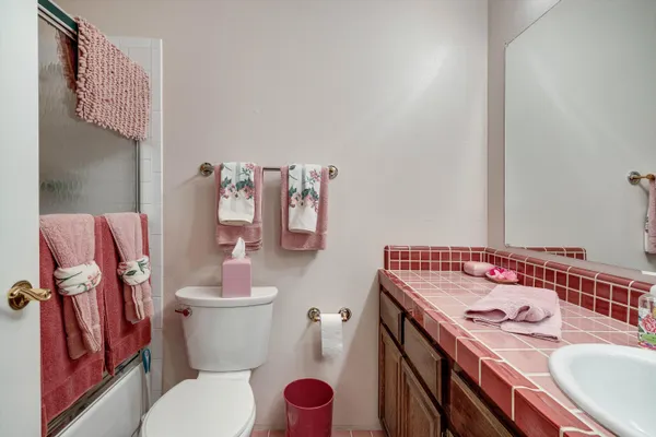 a bathroom with a sink toilet vanity and rug