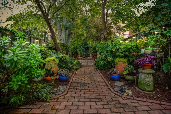 a view of a pathway with plants