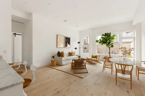 a living room with furniture or wooden floor and a potted plant