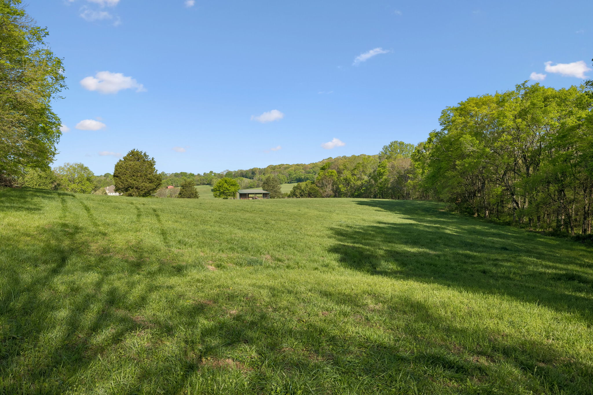 Undisclosed Address College Grove, TN 37046 - Photo 5 of 24 a view of a field with an trees