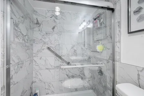 a bathroom with a shower and toilet
