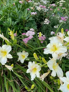 $675,000 | 115 Lakeside Drive, Greenbelt, MD 20770