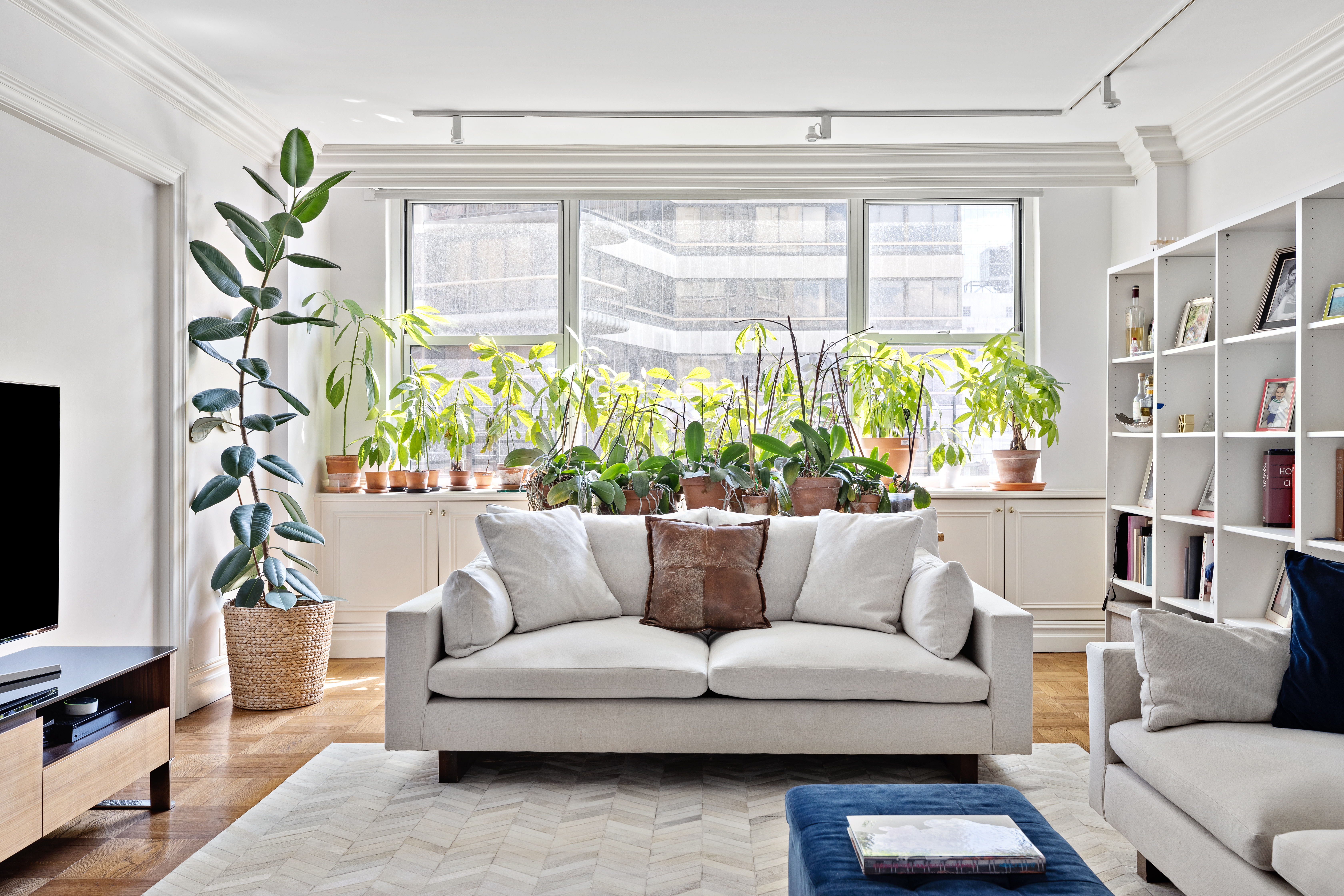 175 East 62nd Street, Unit 9D Manhattan, NY 10065 - Photo 2 of 12 a living room with furniture and a potted plant