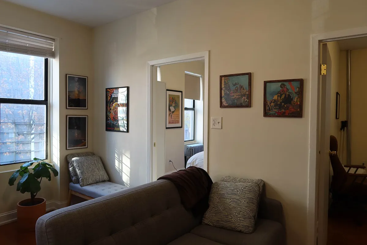 56 Stagg Street, Unit 4 Brooklyn, NY 11206 - Photo 10 of 11 a living room with furniture and a potted plant