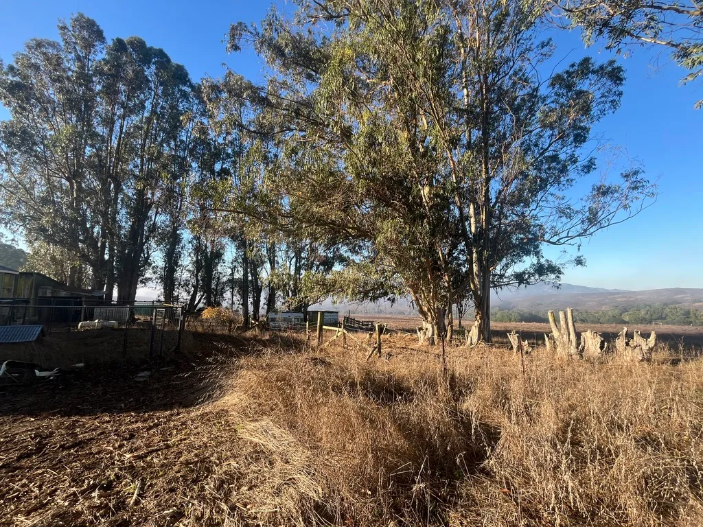 $1,495,000 | 1787 Spring Hill Road, Petaluma, CA 94952