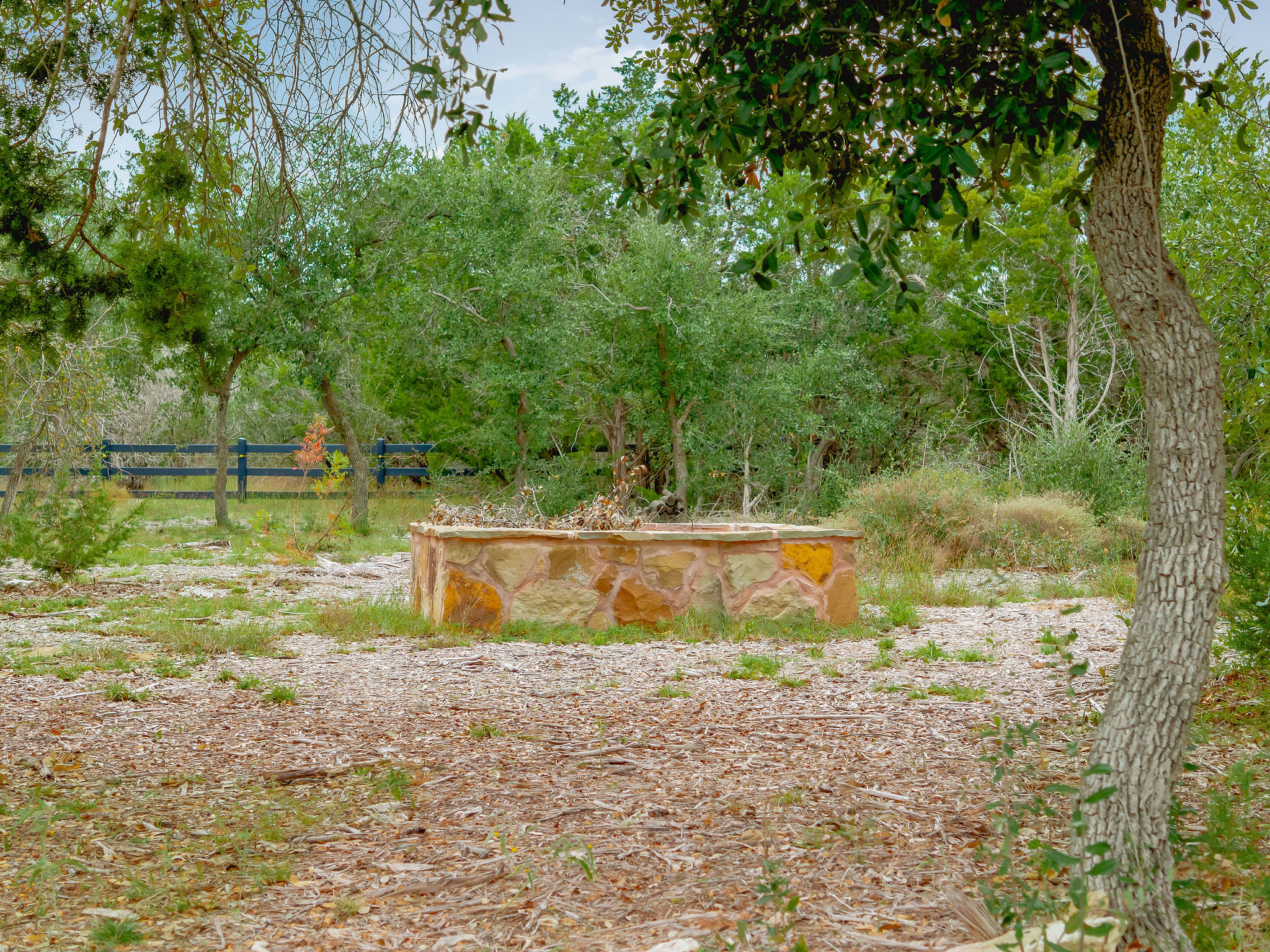 812 Jennings Branch Georgetown, TX 78633 - Photo 100 of 100 a view of a yard with large trees