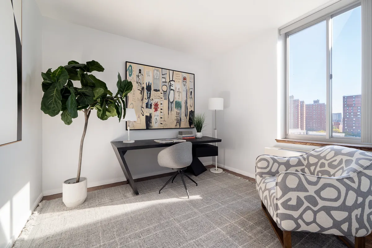 a living room with furniture and a potted plant